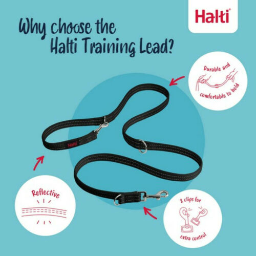 COA Halti Training Lead Black Small - Image 2