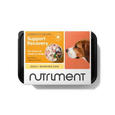 Nutriment Support Recovery 500g Tray - Product Image