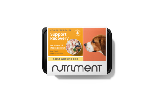 Nutriment Support Recovery 500g Tray - Product Image