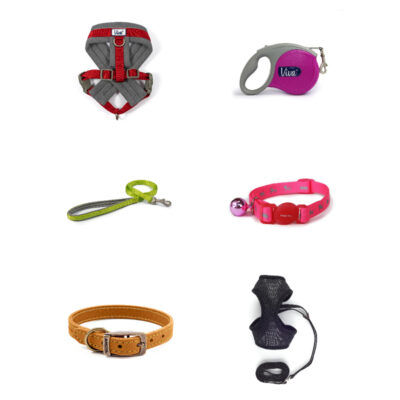 Collars, Leads and Harnesses