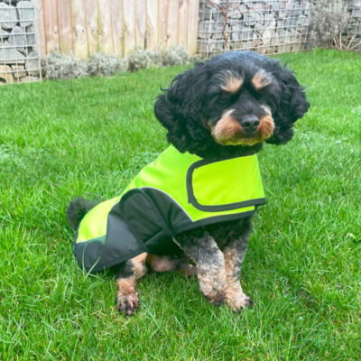 Happy Pet Go-Walk Hi-Vis Dog Jacket