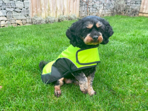 Happy Pet Go-Walk Hi-Vis Dog Jacket