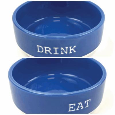 Happy Pet Azure Blue Pet Bowl