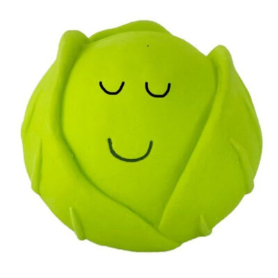James Marketing Seasons Green-tings Latex Sprouts 12cm