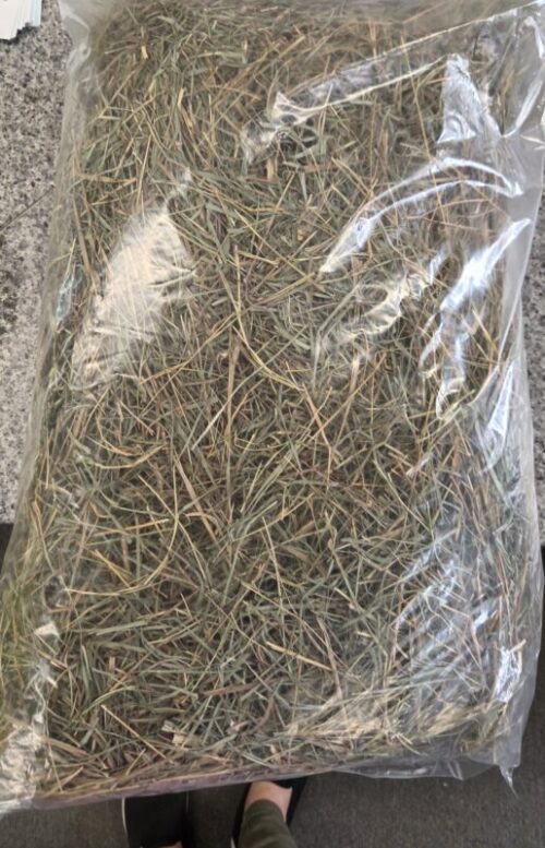 Georges Meadow Hay for Small Animals