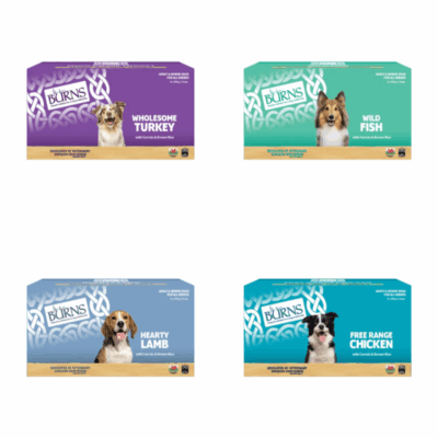 Burns Wet Dog Food 150g