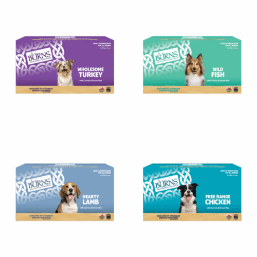 Burns Wet Dog Food 150g