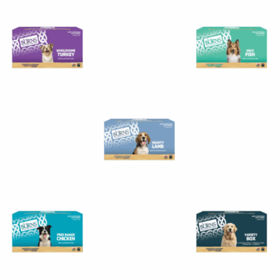 Burns Wet Dog Food 395g