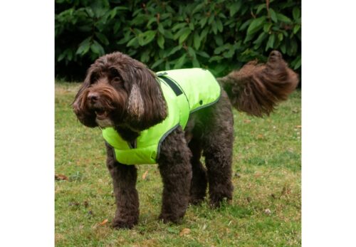 Ancol Stormguard Dog Coat - Hi-Vis - Image 2