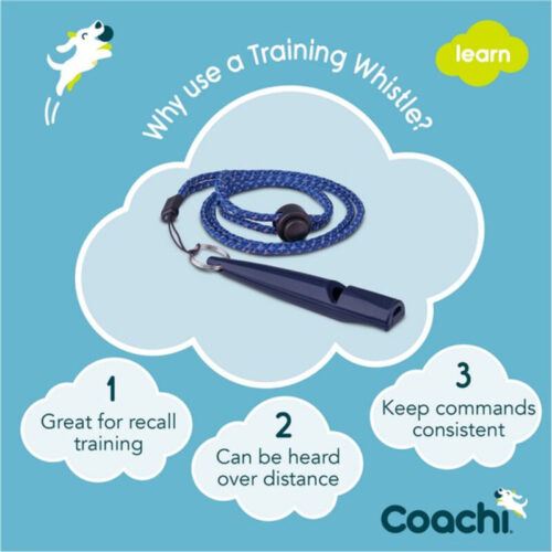 CoA Coachi Training Whistle - Image 7