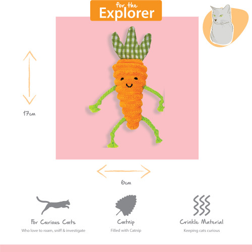 Tabby Patch Catnip & Loofa 2pk - Image 3