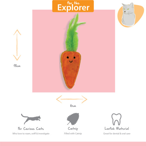 Tabby Patch Catnip & Loofa 2pk - Image 4