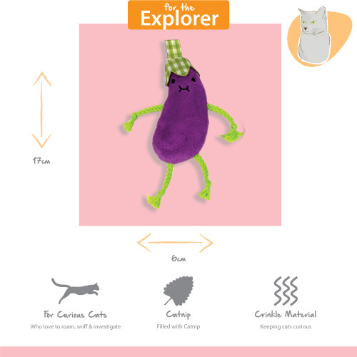 Tabby Patch Catnip & Loofa 2pk - Image 6