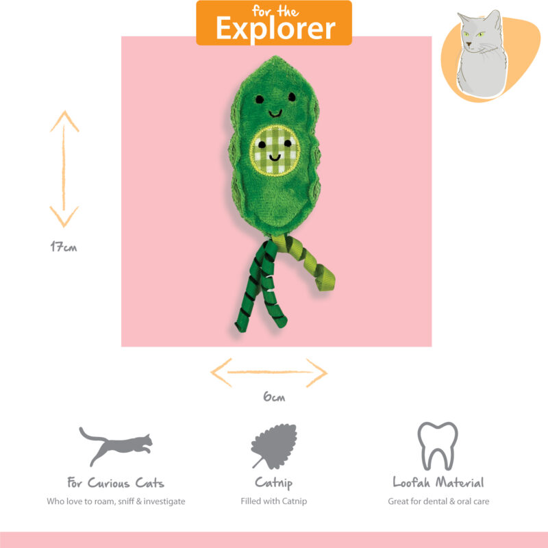 Tabby Patch Catnip & Loofa 2pk - Image 10