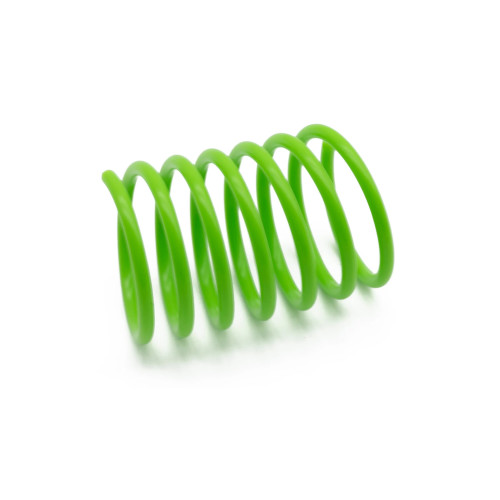 Tabby Patch Cat Springs 12pcs