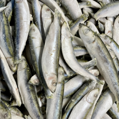 Dougie’s Raw Dog Food – Whole Sprats 1kg