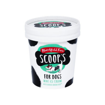 Scoops Mint Ice Cream for Dogs 125ml