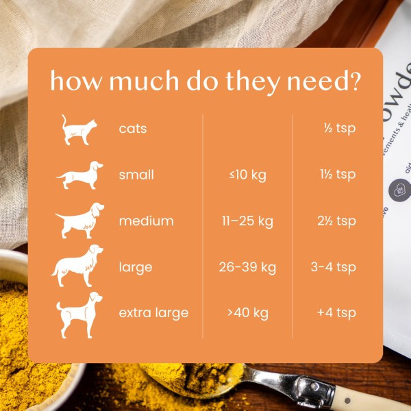 Fettle Pure & Natural Pumpkin Powder 250g - Image 3