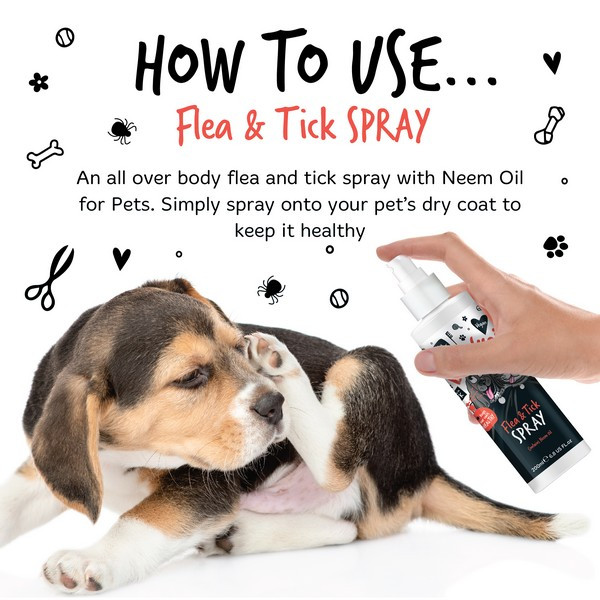 Bugalugs Dog and Cat Flea and Tick Spray 200ml - Image 2