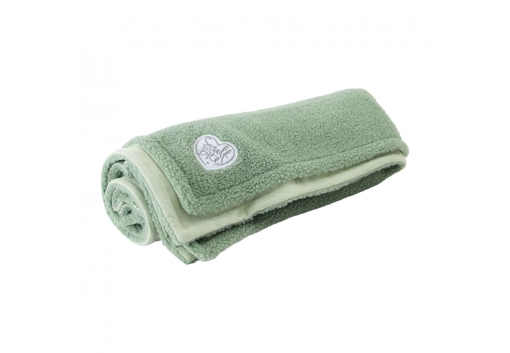 Ancol Small Bite Teddy Bear Blanket - Image 3