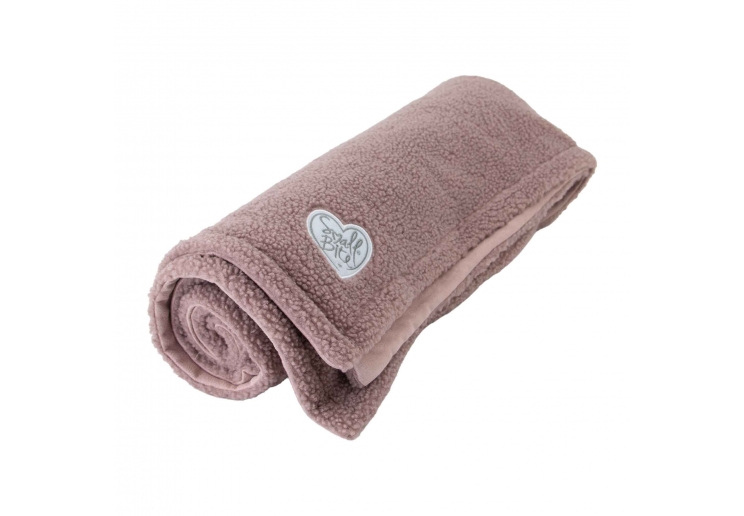 Ancol Small Bite Teddy Bear Blanket - Image 4
